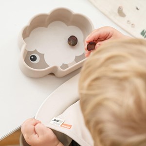 Bol silicone avec ventouse