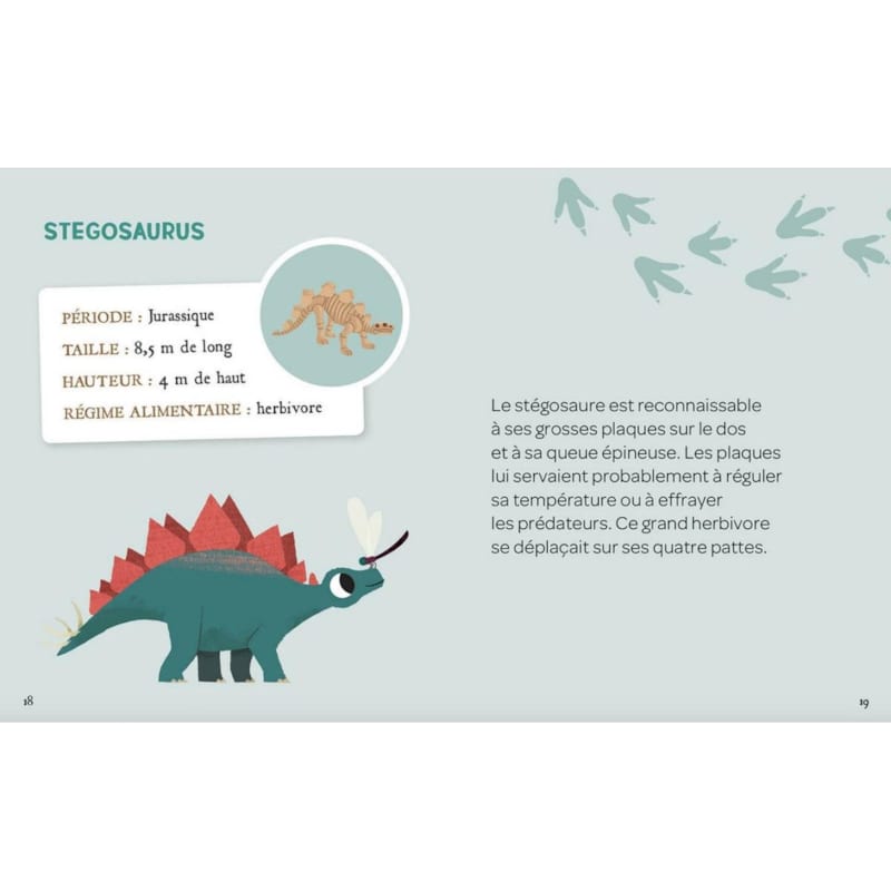 Mes 2 dinosaures a deterrer - coffret d activite (Éditions Auzou) - Image 1
