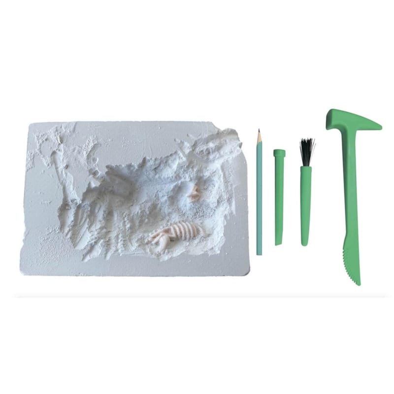 Mes 2 dinosaures a deterrer - coffret d activite (Éditions Auzou) - Image 2