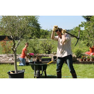 Gant de jardinage cuir tradition - rostaing - 9 - l L