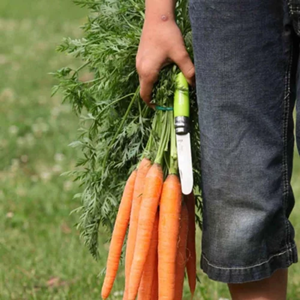 Couteau n°07- mon premier opinel vert