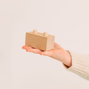 Brick A Block jeu de construction + fiches explicatives - 24 pièces - 2 à 10 ans