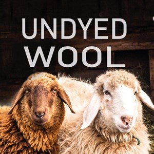 Chauffe-mains en laine ivanhoe nutmeg S