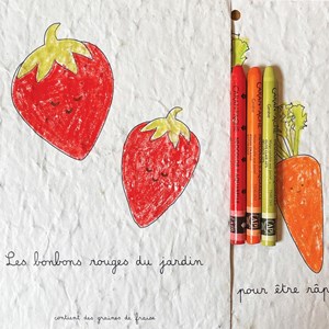 Cahier de coloriage à planter fruits & légumes
