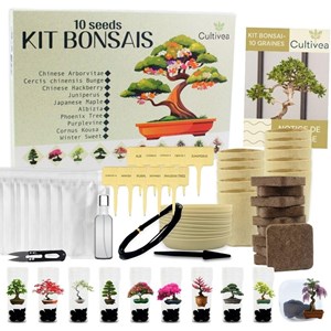 Kit 10 bonsaïs à faire pousser avec accessoires