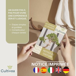 Kit 10 bonsaïs à faire pousser avec accessoires