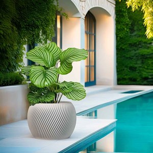 Cache-pot design spirilus blanc