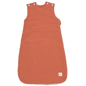 Gigoteuse ouatinée + doudou mouchoir terracotta tog 2,5 (0-6 mois)