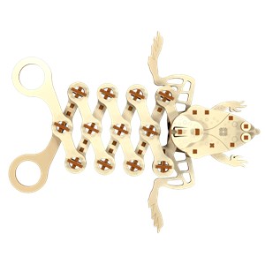 Petite grenouille rigolote