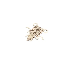 Petite grenouille rigolote