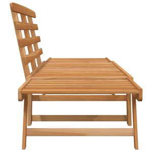 Banc de jardin 2-en-1 meuble de patio 153 x 68 x 74 cm bois marron