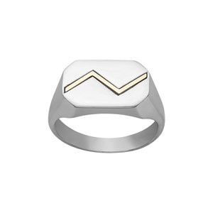 Chevalière jaxon en acier 316l 64