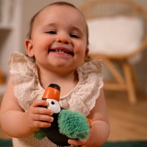 Petits animaux - jean le toucan