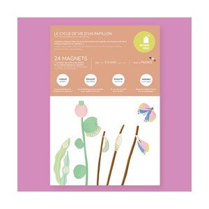 Jeu magnétique cycle de vie du papillon