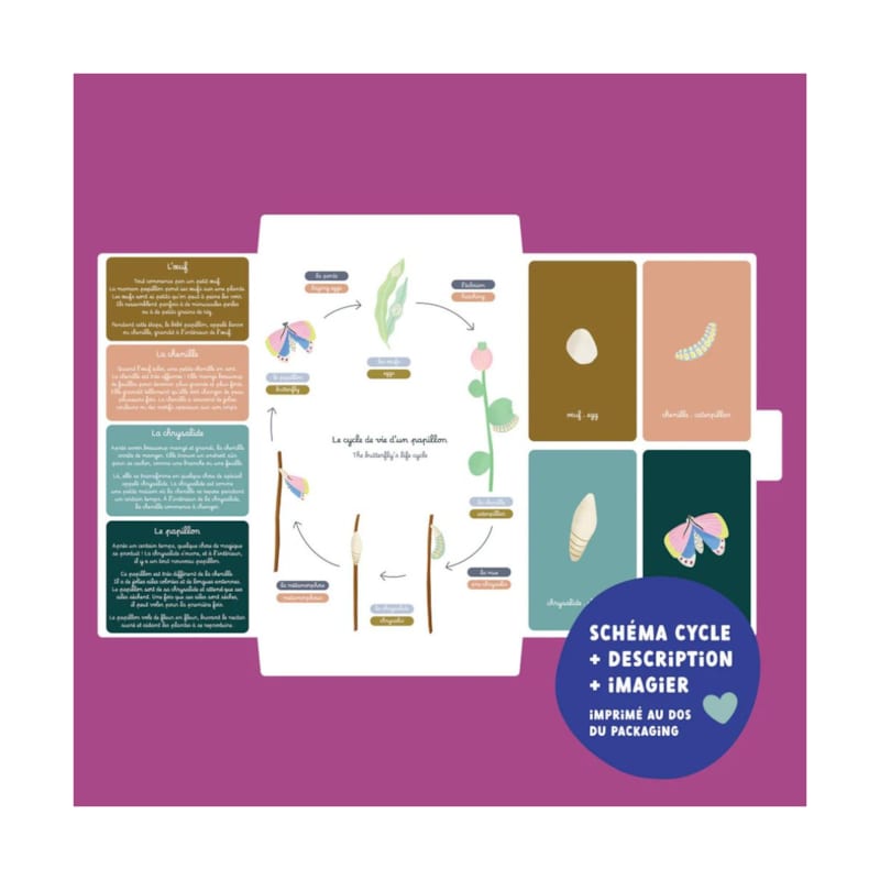 Jeu magnétique cycle de vie du papillon (La cabane à rêves) - Image 1