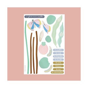 Jeu magnétique cycle de vie du papillon