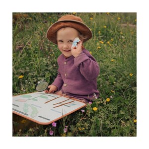 Jeu magnétique cycle de vie du papillon