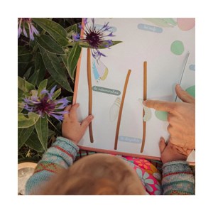 Jeu magnétique cycle de vie du papillon