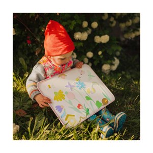 Jeu magnétique le jardin