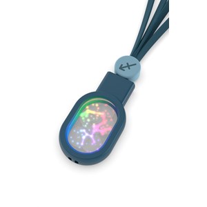 Câble astro lumineux 4 en 1 - sagittaire