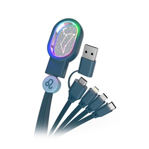 Câble de recharge 4en1 - eclairage led design lion - mob