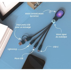 Câble astro lumineux 4 en 1 - lion
