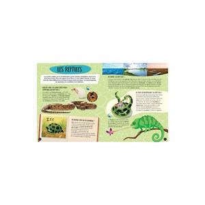 Encyclopédie animaux