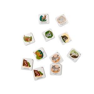 Coffret protégeons les animaux - la forê