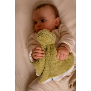 Doudou - rex le tyrannosaure