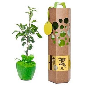 Un poirier à planter, livré dans un bel emballage écologique - cadeau durable