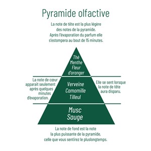 Bouquet parfume plantes du bonheur