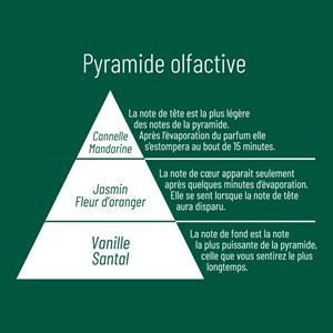 Bouquet parfume symphonie olfactive