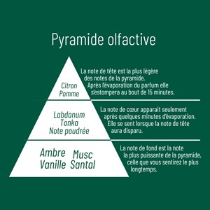 Bouquet parfume ambre ivoire