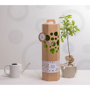 Arbre de mémoire - bouleau