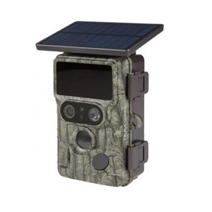 Piège photographique pie1073