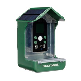 Mangeoire pour oiseaux avec caméra intég