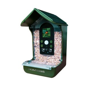 Mangeoire pour oiseaux avec caméra intég