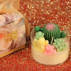 Bougie cactus “jardin secret” ??? –