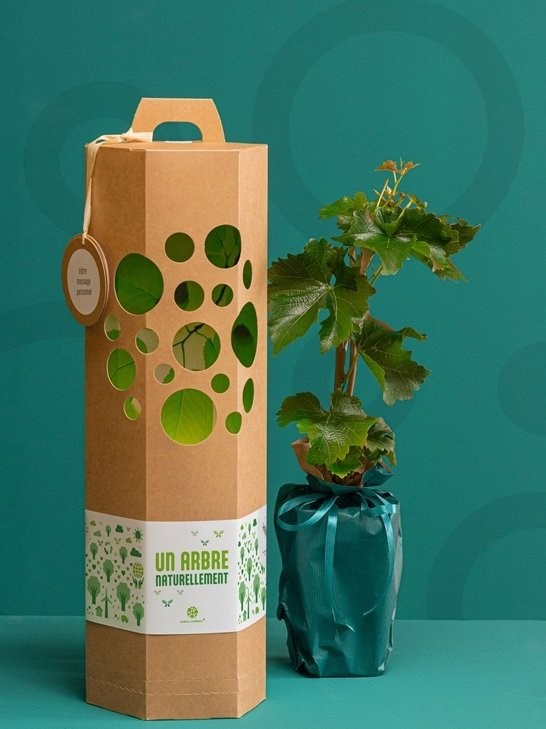 Arbre-cadeau - Un arbre naturellement - noisetier