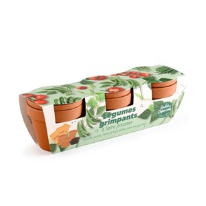 Kit jardinage légumes grimpants - trio