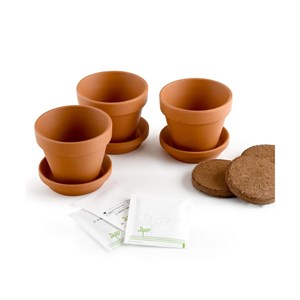 Kit jardinage légumes grimpants - trio