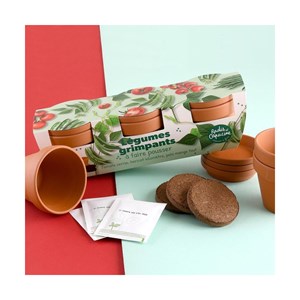 Kit jardinage légumes grimpants - trio