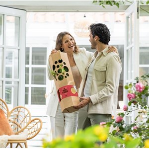 Arbre d'amour - poirier