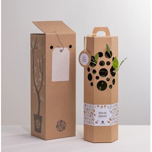 Arbre de mémoire - chêne