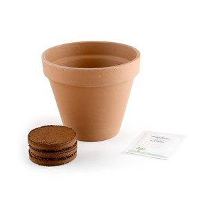 Pot terre cuite antique - fraisier