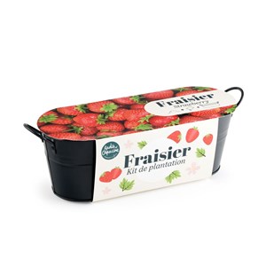 Jardinière zinc noir 30 cm - fraisier
