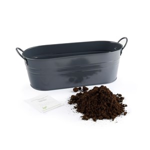 Jardinière zinc noir 30 cm - fraisier