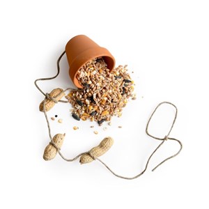 Coffret activité - pots mangeoires à ois