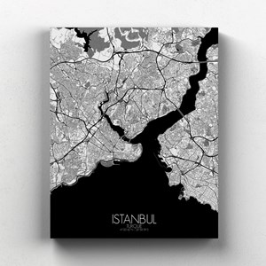 Istanbul sur toile city map n&b