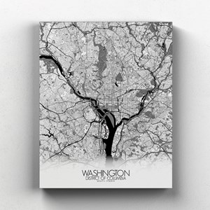 Washington sur toile city map n&b